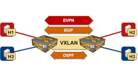 CHUYÊN ĐỀ EVPN-VXLAN